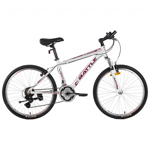 GATEGOLD 450-24IN / GG-450 24INOUTDOOR SPORTS BIKE GATEGOLD 450-24IN / GG-450 24INOUTDOOR SPORTS BIKE - Deluxe.com.ng